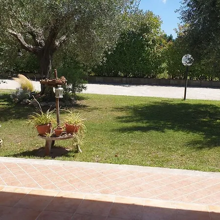 L'antico Vigneto