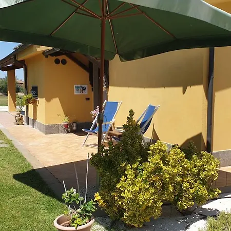 L'antico Vigneto *