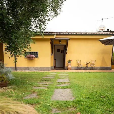 L'antico Vigneto *
