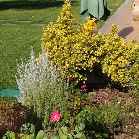 L'antico Vigneto בית הארחה